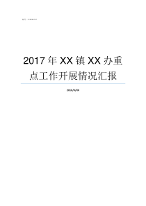 2017年XX镇XX办重点工作开展情况汇报69XX2017