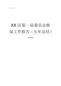 XX区第一届委员会换届工作报告五年总结