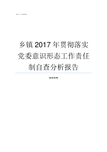 乡镇2017年贯彻落实党委意识形态工作责任制自查分析报告