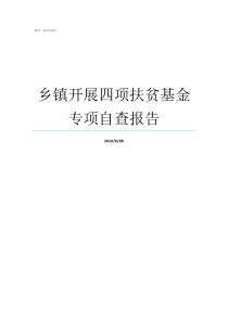 乡镇开展四项扶贫基金专项自查报告