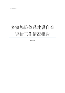 乡镇惩防体系建设自查评估工作情况报告