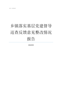 乡镇落实基层党建督导巡查反馈意见整改情况报告乡镇党委书记上基层党建党课