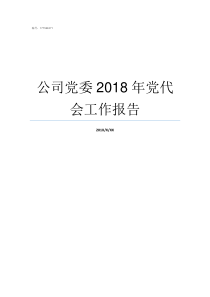 公司党委2018年党代会工作报告2018年支部委员会记录