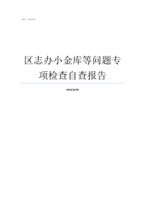 区志办小金库等问题专项检查自查报告企业小金库自查报告