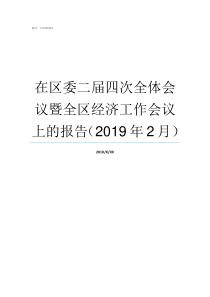 在区委二届四次全体会议暨全区经济工作会议上的报告2019年2月区委是什么