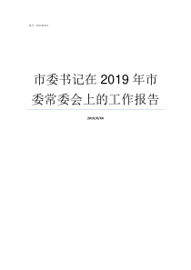 市委书记在2019年市委常委会上的工作报告