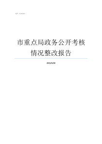 市重点局政务公开考核情况整改报告