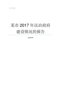 某市2017年法治政府建设情况的报告