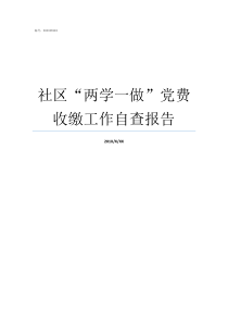 社区两学一做党费收缴工作自查报告