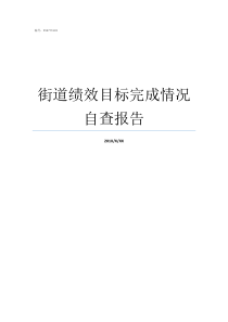 街道绩效目标完成情况自查报告绩效目标实际完成情况