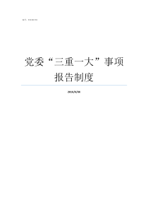 党委三重一大事项报告制度三重一大上党委会吗