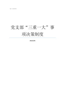 党支部三重一大事项决策制度三重一大需要党支部讨论吗