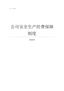 公司安全生产经费保障制度安全生产经费保障问题