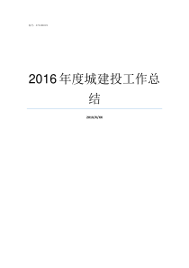 2016年度城建投工作总结