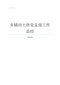 乡镇田土所党支部工作总结乡镇党支部全称