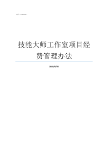 技能大师工作室项目经费管理办法聂长红技能大师工作室