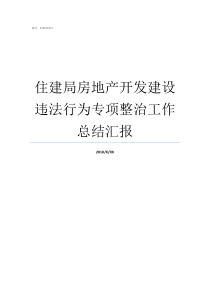 住建局房地产开发建设违法行为专项整治工作总结汇报