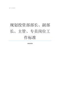 规划投资部部长副部长主管专员岗位工作标准部长对部门的规划