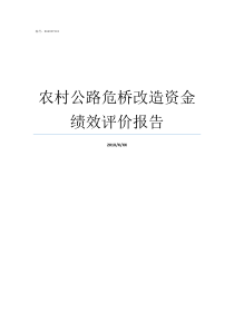 农村公路危桥改造资金绩效评价报告