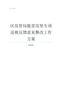 区房管局脱贫攻坚专项巡视反馈意见整改工作方案脱贫攻坚专项治理