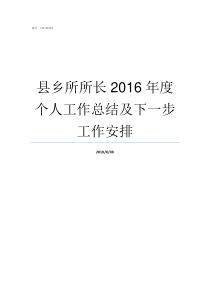 县乡所所长2016年度个人工作总结及下一步工作安排乡财政所所长