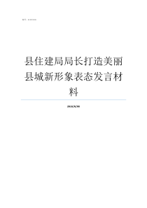 县住建局局长打造美丽县城新形象表态发言材料美丽女局长最新更新