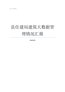 县住建局建筑大数据管理情况汇报建筑大数据