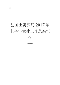 县国土资源局2017年上半年党建工作总结汇报崇阳县国土资源局吴局长