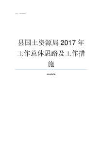 县国土资源局2017年工作总体思路及工作措施崇阳县国土资源局吴局长