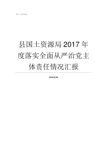 县国土资源局2017年度落实全面从严治党主体责任情况汇报崇阳县国土资源局吴局长