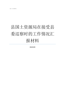 县国土资源局在接受县委巡察时的工作情况汇报材料崇阳县国土资源局吴局长