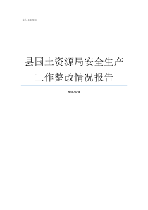 县国土资源局安全生产工作整改情况报告崇阳县国土资源局吴局长