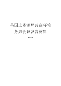 县国土资源局营商环境务虚会议发言材料国土资源学校