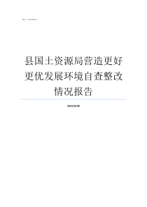 县国土资源局营造更好更优发展环境自查整改情况报告崇阳县国土资源局吴局长