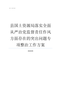 县国土资源局落实全面从严治党监督责任作风方面存在的突出问题专项整治工作方案崇阳县国土资源局吴局长