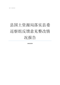 县国土资源局落实县委巡察组反馈意见整改情况报告