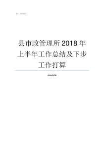 县市政管理所2018年上半年工作总结及下步工作打算