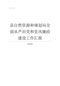 县自然资源和规划局全面从严治党和党风廉政建设工作汇报县规划局如何并入自然资源局