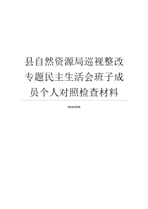 县自然资源局巡视整改专题民主生活会班子成员个人对照检查材料中方县自然资源局班子成员