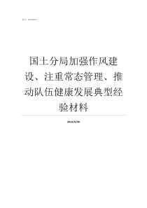 国土分局加强作风建设注重常态管理推动队伍健康发展典型经验材料