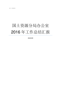 国土资源分局办公室2016年工作总结汇报土地局和国土资源局局长