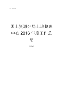 国土资源分局土地整理中心2016年度工作总结土地局和国土资源局局长