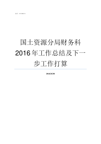 国土资源分局财务科2016年工作总结及下一步工作打算土地局和国土资源局局长