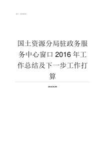 国土资源分局驻政务服务中心窗口2016年工作总结及下一步工作打算土地局和国土资源局局长