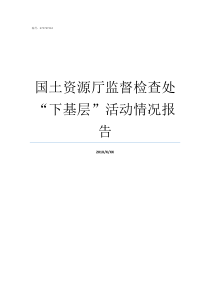 国土资源厅监督检查处下基层活动情况报告