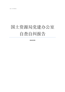 国土资源局党建办公室自查自纠报告县国土局办公室