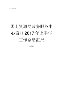 国土资源局政务服务中心窗口2017年上半年工作总结汇报政务中心推进政务服务