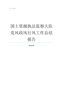 国土资源执法监察大队党风政风行风工作总结报告