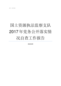 国土资源执法监察支队2017年党务公开落实情况自查工作报告