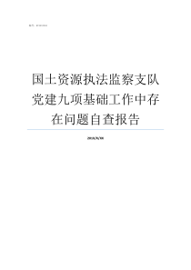 国土资源执法监察支队党建九项基础工作中存在问题自查报告国土资源局执法监察支队